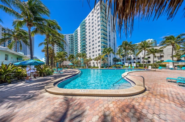 view of swimming pool with a patio