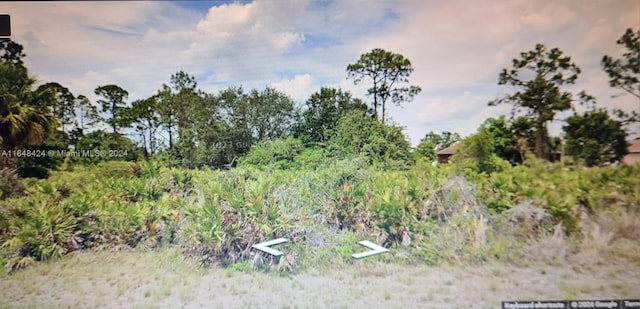 1157 Barfield St, Lehigh Acres FL, 33974 land for sale