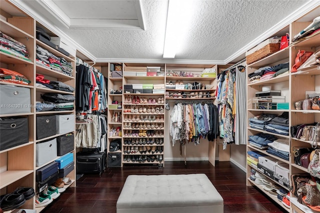 walk in closet with dark wood-type flooring