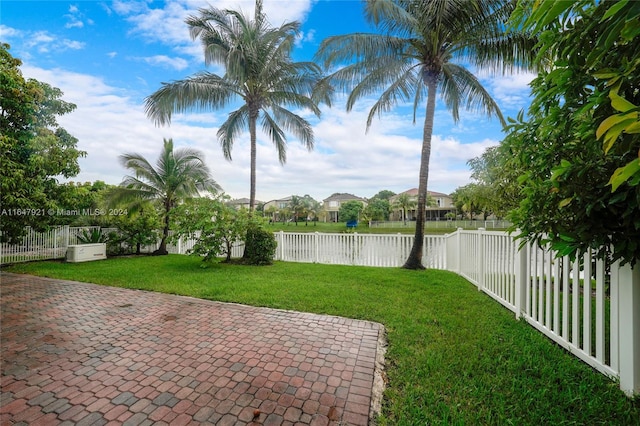 view of yard featuring a patio