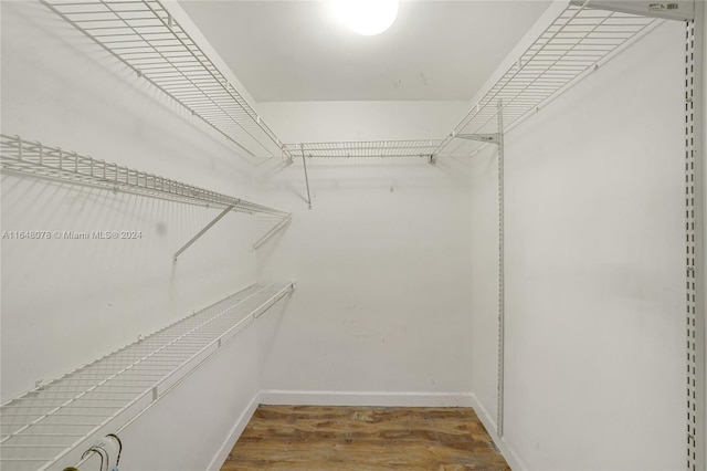 spacious closet with wood-type flooring