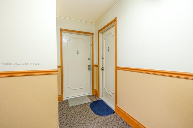 entryway featuring carpet flooring