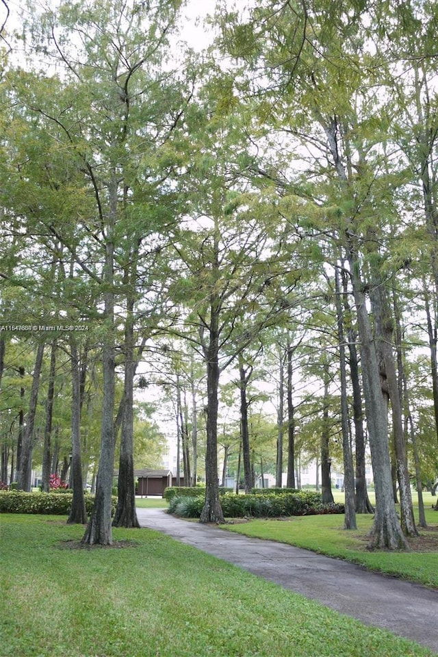 view of property's community with a lawn