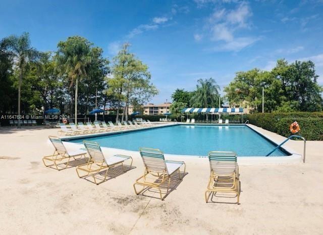 view of pool with a patio area