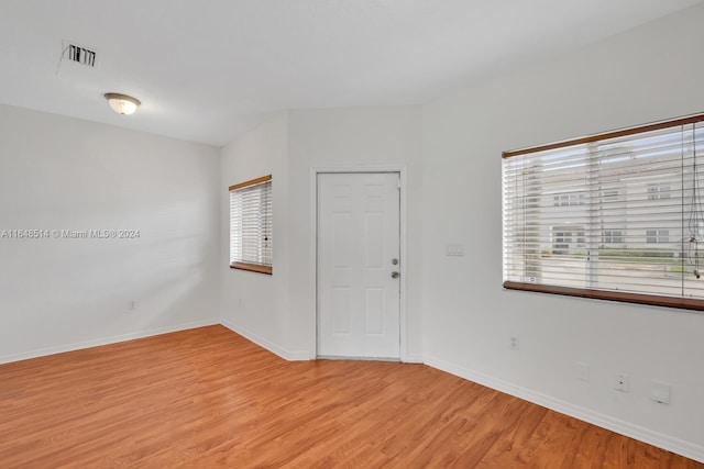 spare room featuring a wealth of natural light and wood-type flooring