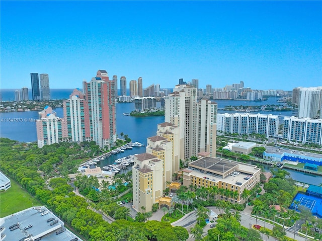 view of city featuring a water view