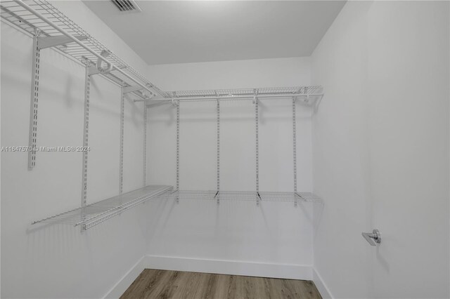 spacious closet with hardwood / wood-style flooring