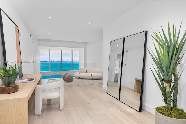 living room with light hardwood / wood-style floors