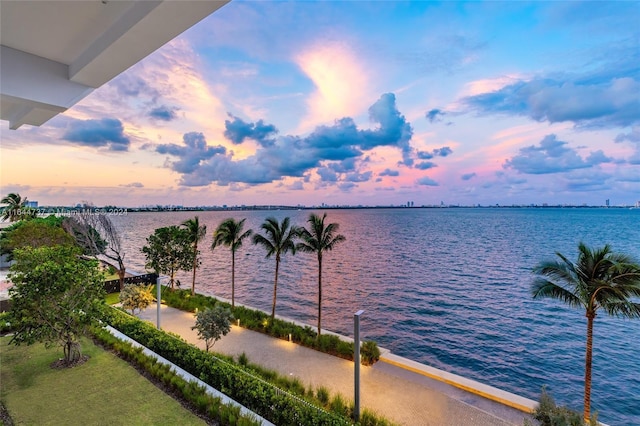 property view of water