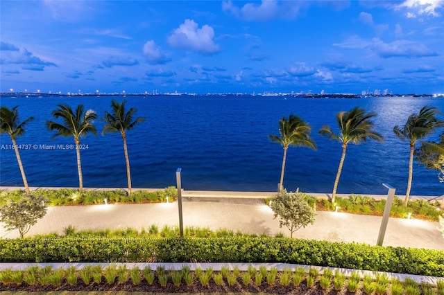 property view of water