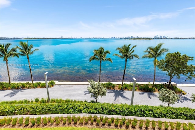 view of water feature
