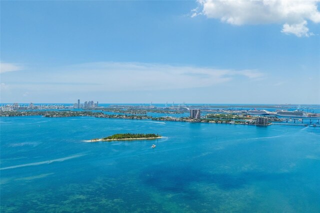 aerial view with a water view and a view of city