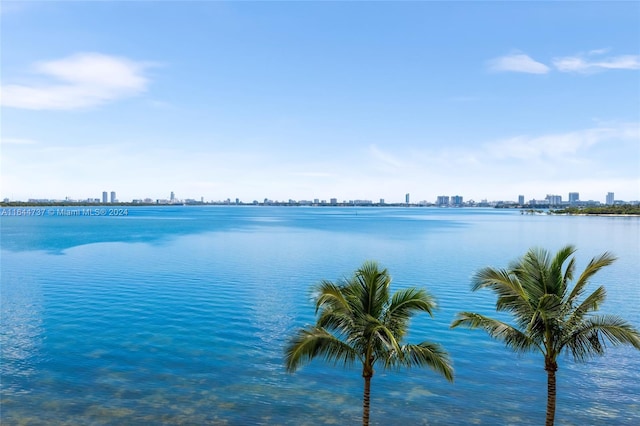 view of water feature with a view of city