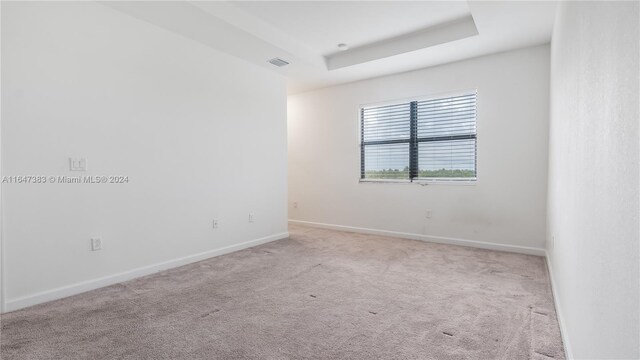 empty room with a tray ceiling and light carpet