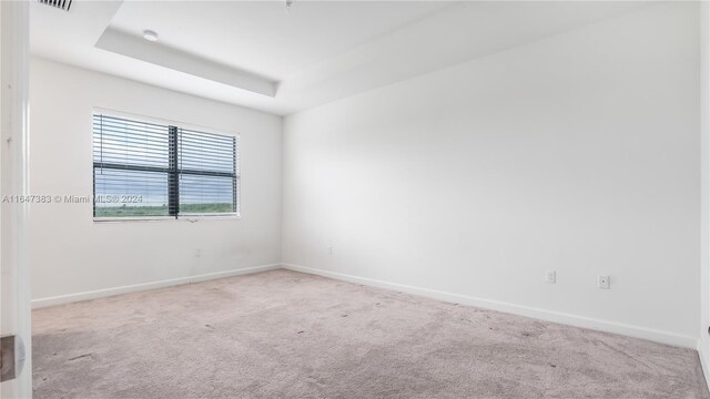 carpeted spare room with a tray ceiling