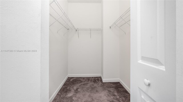 spacious closet featuring dark colored carpet