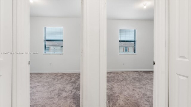 interior space with light colored carpet