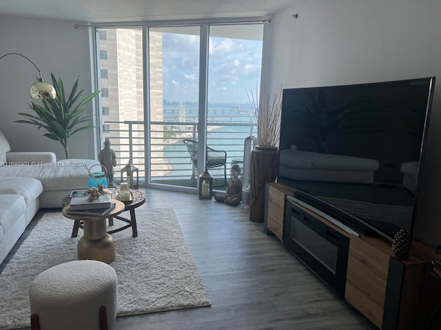 living room with expansive windows and wood-type flooring