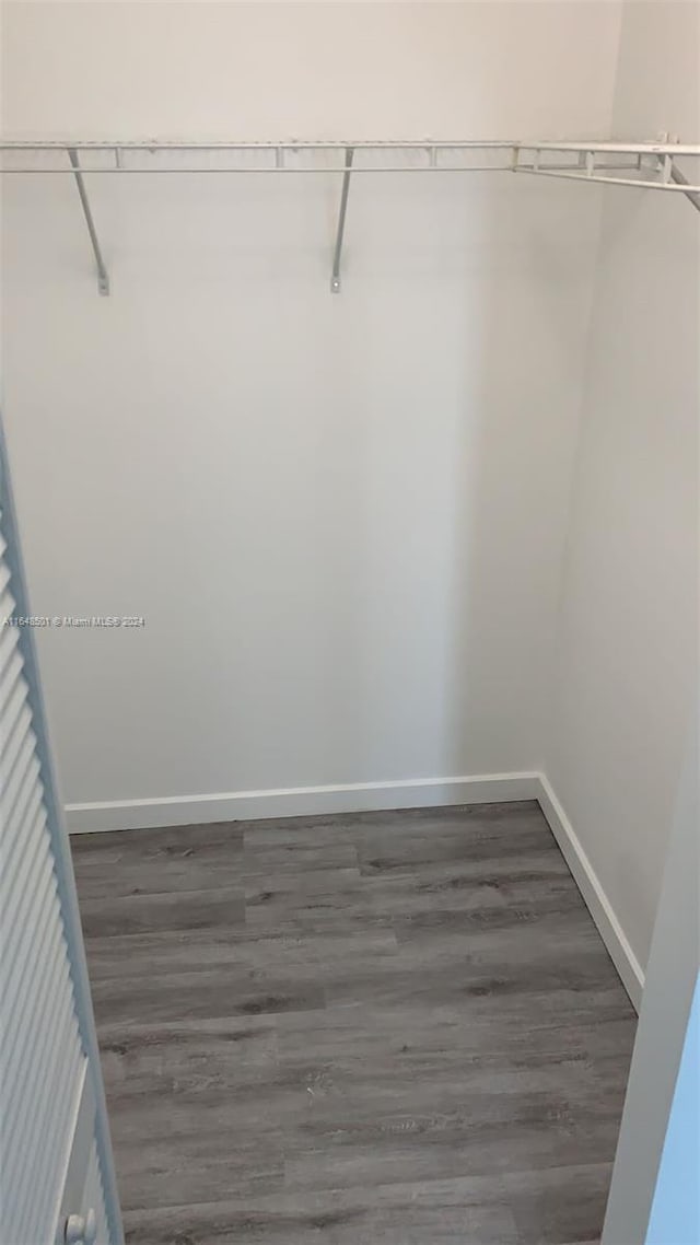 walk in closet featuring dark wood-type flooring