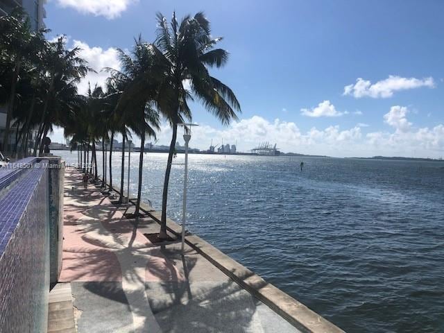 dock area with a water view