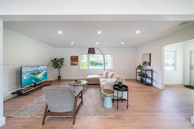 living room featuring light hardwood / wood-style flooring and a healthy amount of sunlight