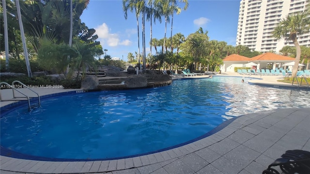 view of swimming pool