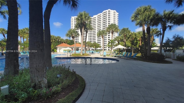 view of swimming pool