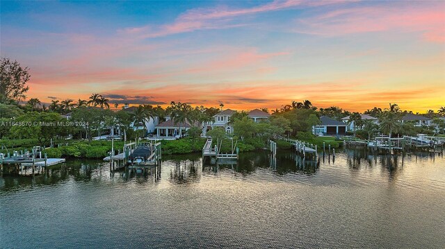 water view featuring a boat dock