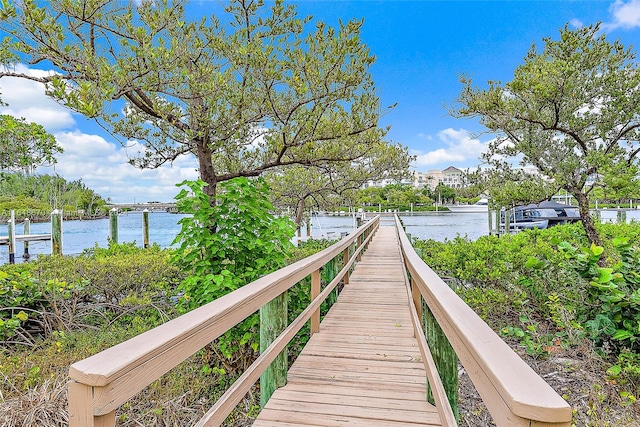 dock area with a water view