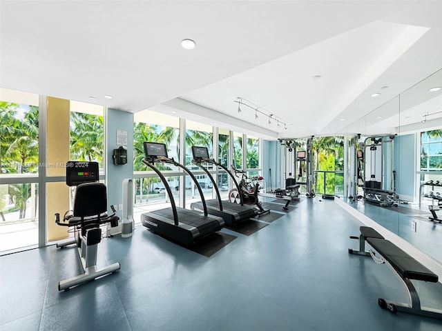 gym featuring a wall of windows