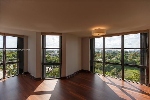 empty room with expansive windows and dark hardwood / wood-style flooring