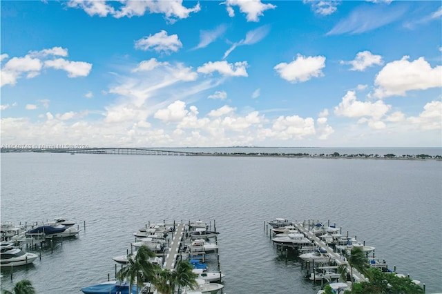 view of water feature featuring a boat dock