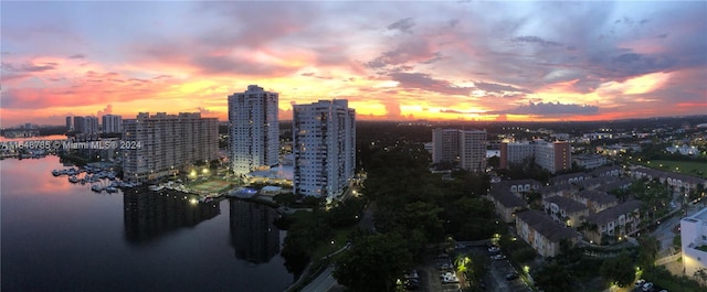 property's view of city with a water view