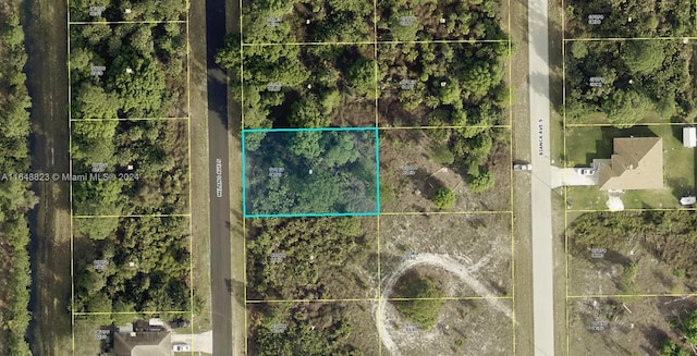 761 Milano Ave S, Lehigh Acres FL, 33974 land for sale