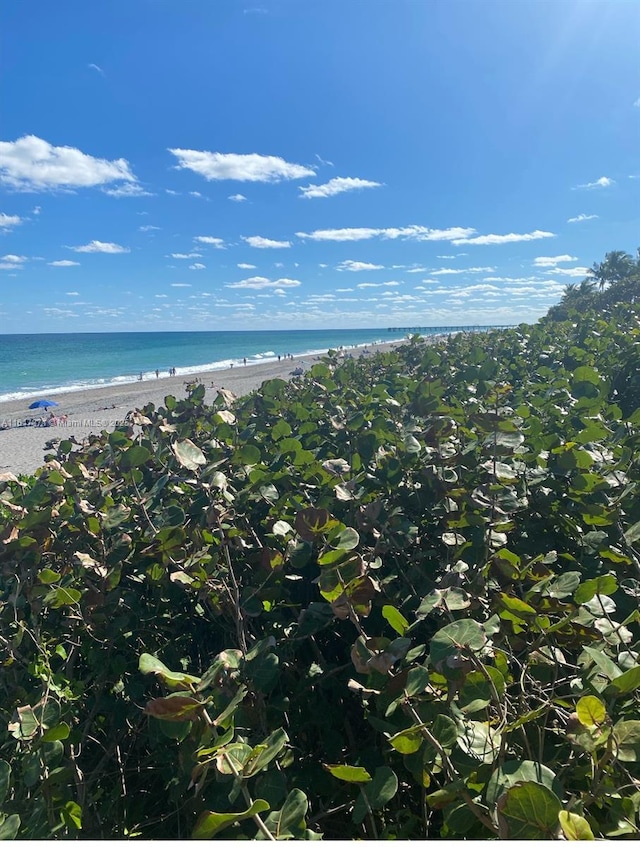 water view featuring a beach view