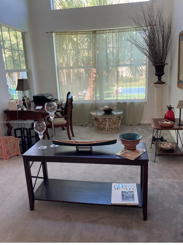 view of carpeted living room