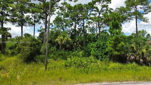 1813 Laurie St, Lehigh Acres FL, 33972 land for sale