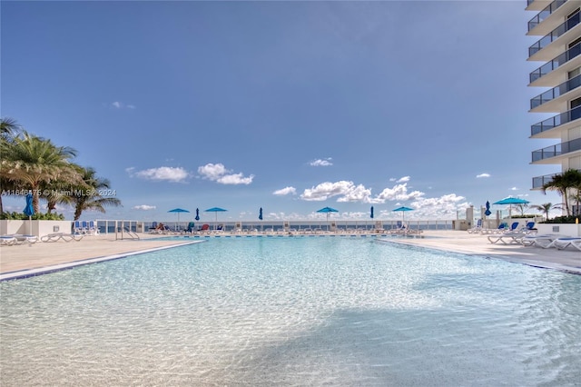 view of swimming pool with a patio