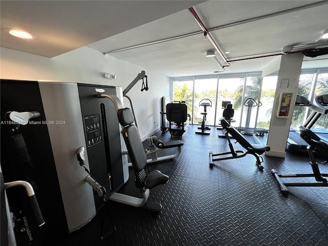 gym featuring expansive windows and dark carpet