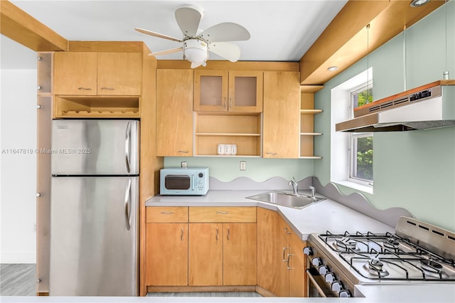 kitchen featuring ceiling fan, appliances with stainless steel finishes, sink, and light hardwood / wood-style floors