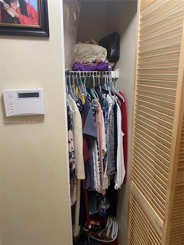 view of closet