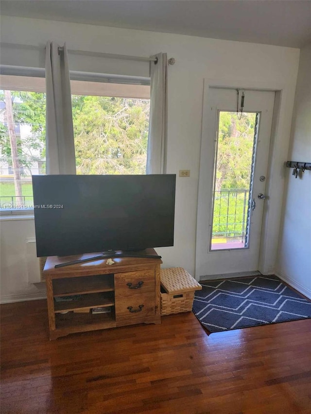 doorway to outside with dark wood-type flooring