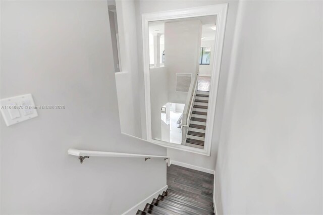 staircase featuring hardwood / wood-style floors