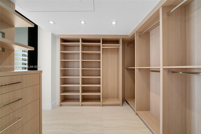 view of walk in closet