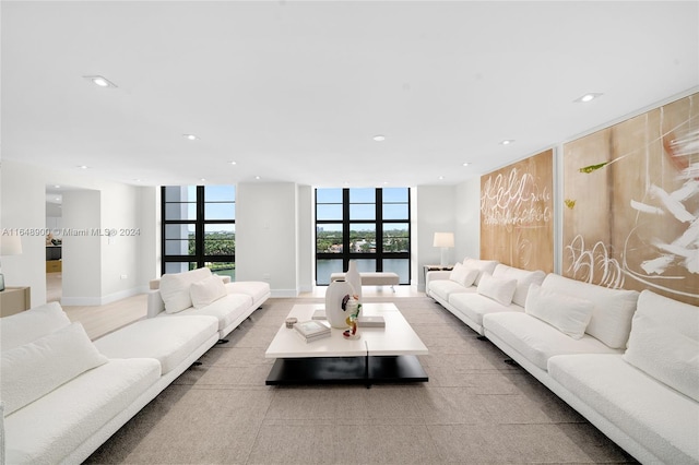 living room with expansive windows