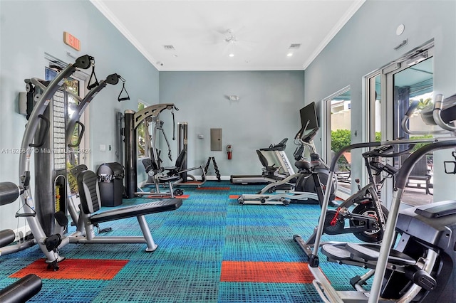 workout area with carpet flooring and crown molding