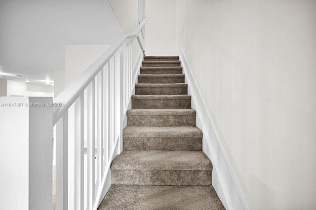 stairway with carpet floors