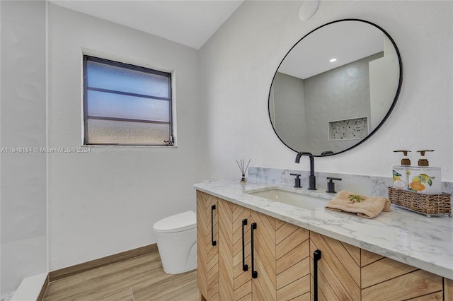 bathroom featuring vanity, toilet, and wood-type flooring