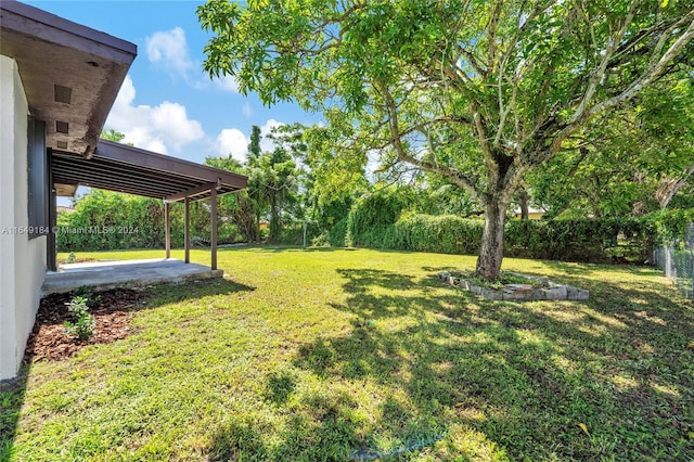 view of yard featuring a patio area