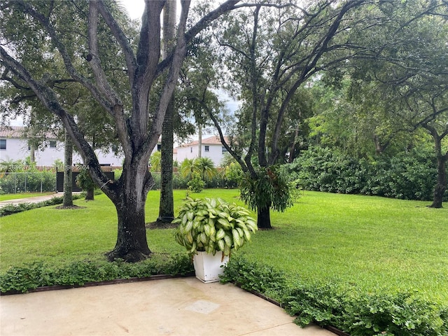 24490 SW 120th Ave, Homestead, FL 33032 - view of green lawn with a patio
